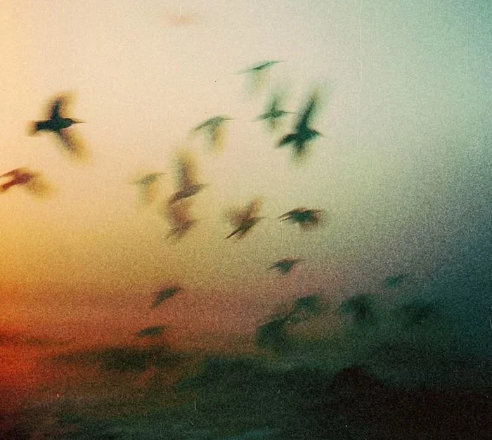 Forgive, Let It Go- Period!